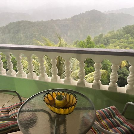 Bed and Breakfast Matthew'S Miracle View Roseau Exterior foto