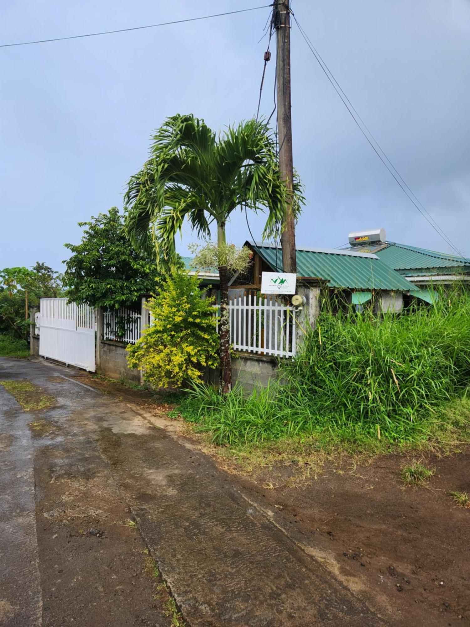 Bed and Breakfast Matthew'S Miracle View Roseau Exterior foto